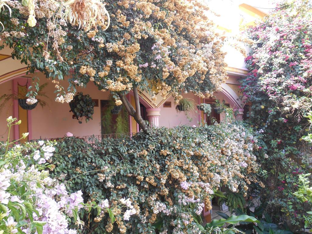 Hotel El Chaparral Panajachel Εξωτερικό φωτογραφία